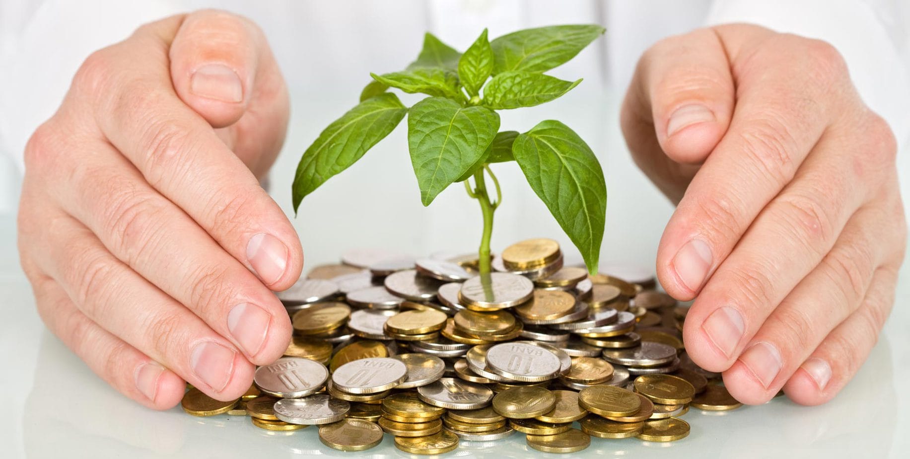 How to stop your wages from being garnished in Washington State.